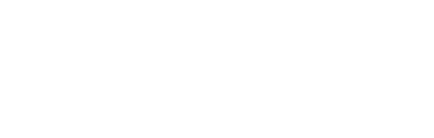 Client - Finsmart white logo