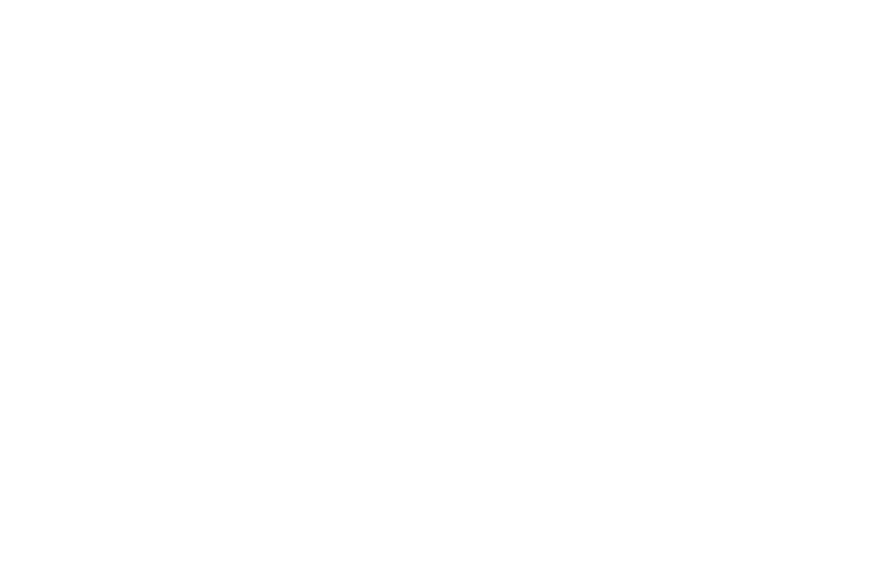 Pivot 360 white logo
